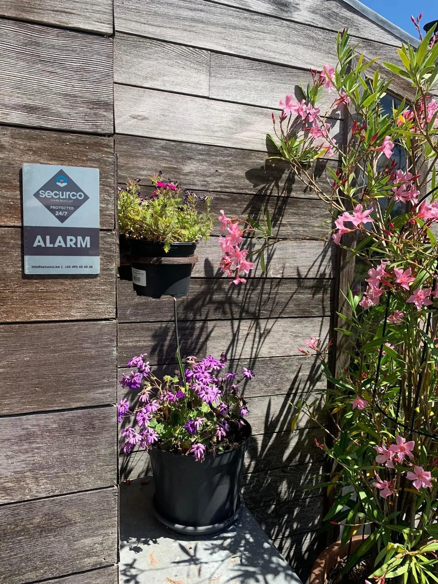 SecurCo alarmbord op houten woning met bloemen in plantenbakken tegen de muur